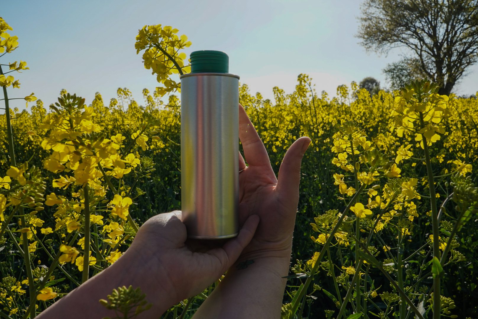 Öl-Dose im Rapsfeld